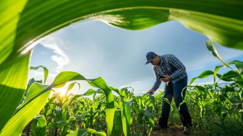 Fermes biodiversité Grand Est