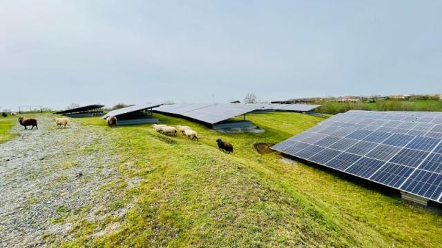 Agrivoltaisme Grand Est