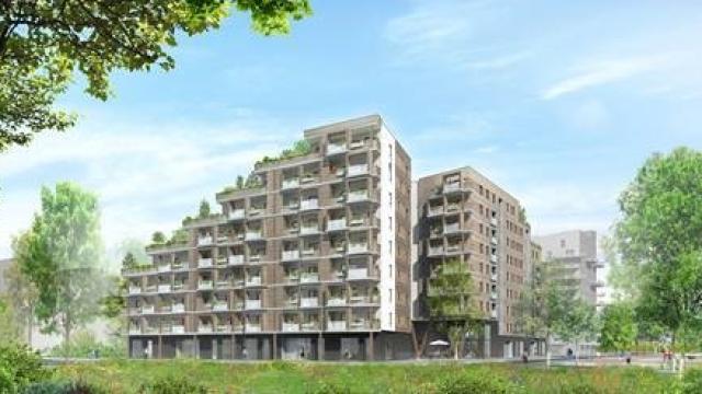 Ilot bois Strasbourg