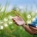 Programme ACSE Grand Est