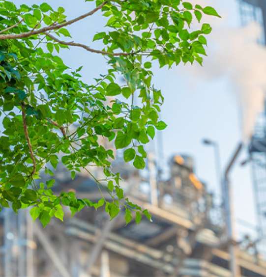 Écologie Industrielle et Territoriale